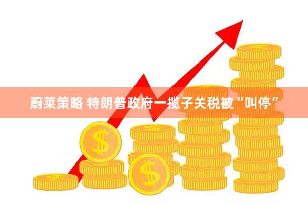 蔚莱策略 特朗普政府一揽子关税被“叫停”