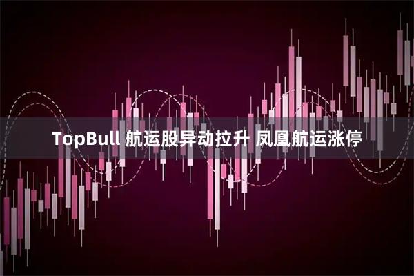 TopBull 航运股异动拉升 凤凰航运涨停