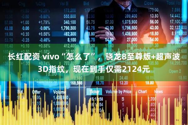 长红配资 vivo“怎么了”，骁龙8至尊版+超声波3D指纹，现在到手仅需2124元