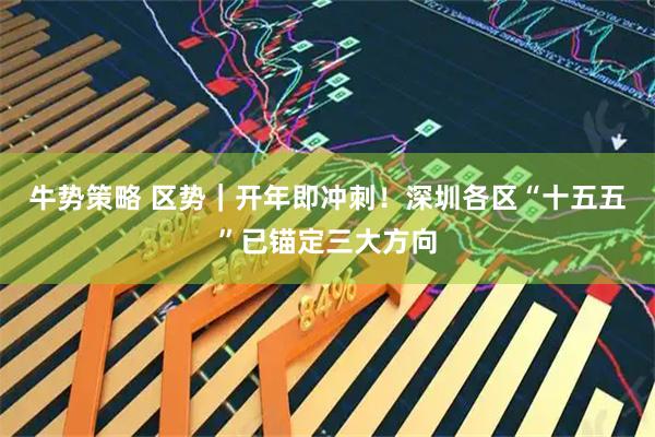 牛势策略 区势｜开年即冲刺！深圳各区“十五五”已锚定三大方向